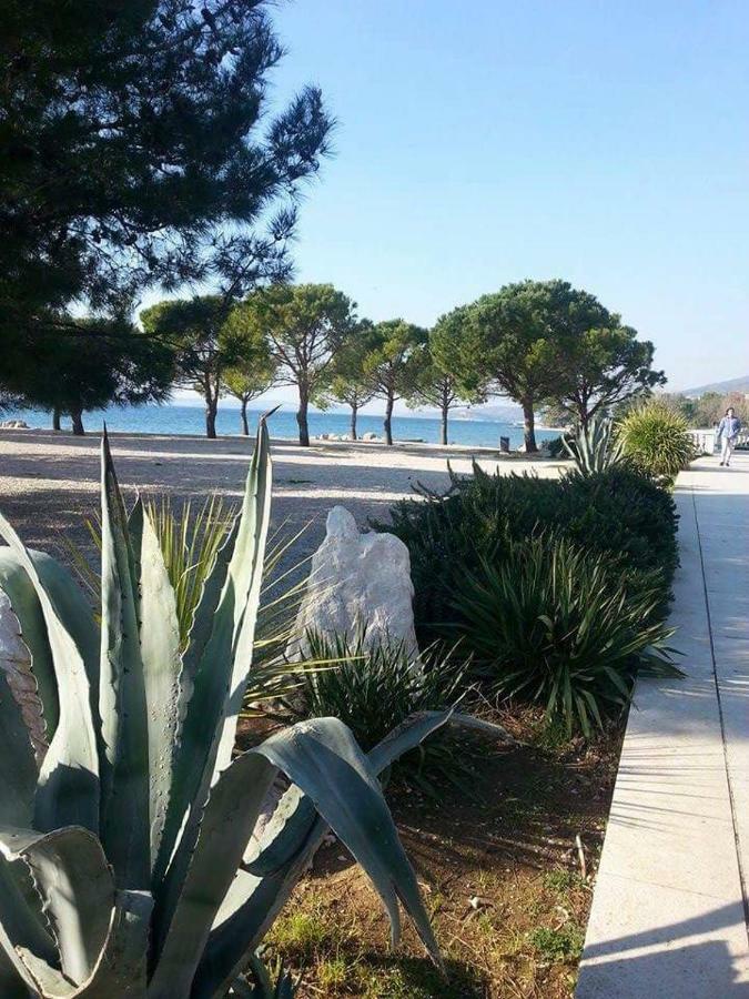 Apartment Dora Crikvenica Eksteriør billede